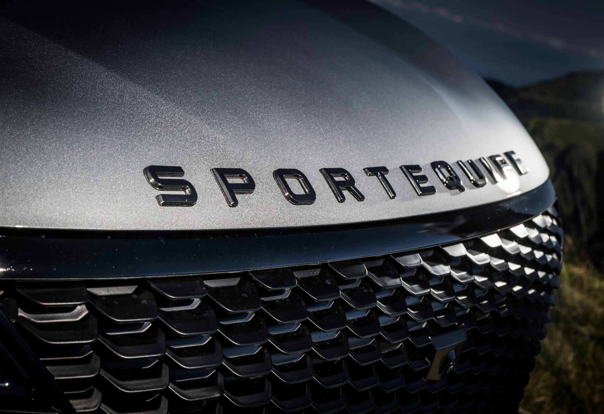 Griglia e badge Sportequipe 8 GT